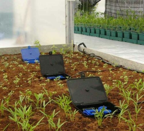 AutoPot AQUAbox Straight