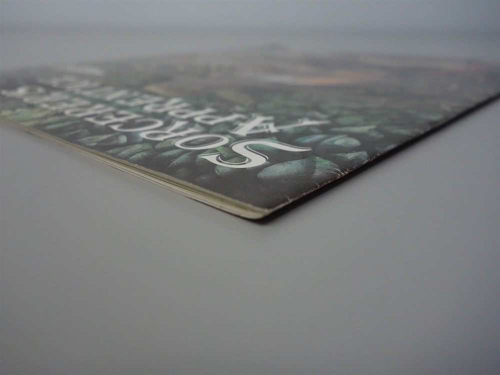 Sorcerer's Apprentice: Issue #15