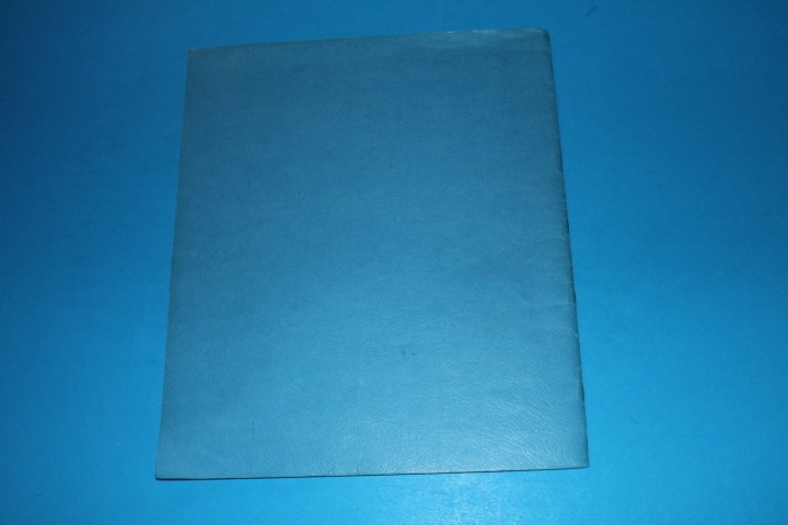 Wingra Mint Sheet File Capacity 10 pgs 2 pocket 12.75" x 10.75" BlueLakeStamps