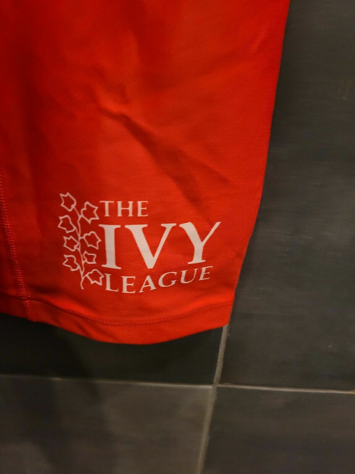 Cornell University wrestling Team singlet suit Brand New Ivy League Asics Large