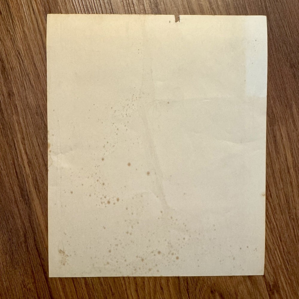 Flamin Groovies New Orleans House 1968 Berkeley Concert Handbill NICE Paul Brown