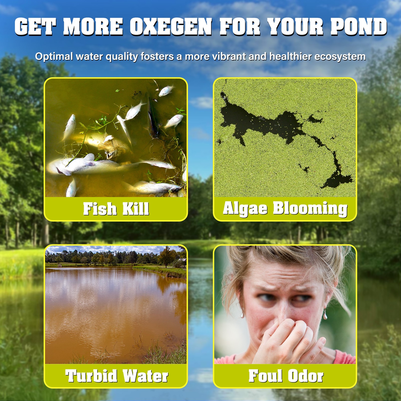 750W Pond Aerator Pond Lake Air Pump Kit with 2 Tubings & 2 Diffusers 5.35CFM