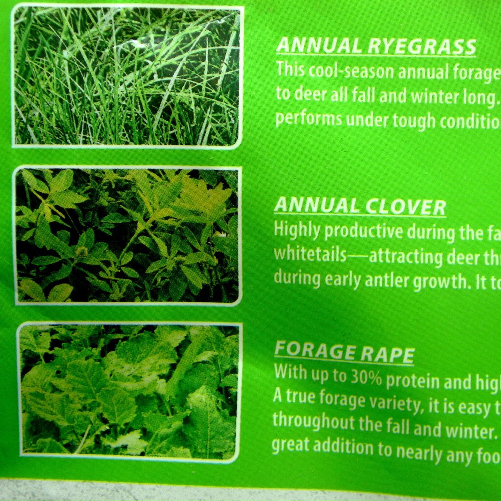 BULK BAGED EVOLVED HARVEST Throw & Gro 50%+ CLOVER NO-TILL FORAGE FOOD PLOT SEED