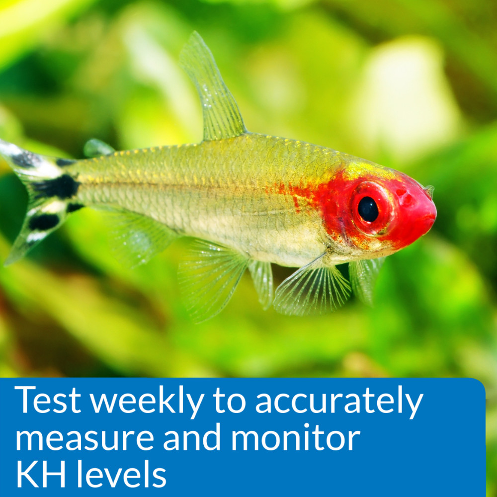 API Carbonate Hardness Test Kit FW/SW monitors KH, prevents pH problems