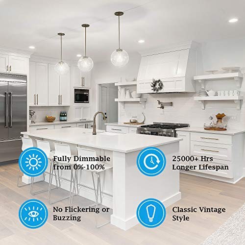 Vintage LED Dimmable Edison Light Bulbs 100W Incandescent Clear Daylight White