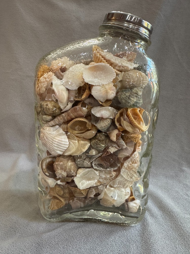 Shell Filled Bubble Textured Surface Jar with Lid
