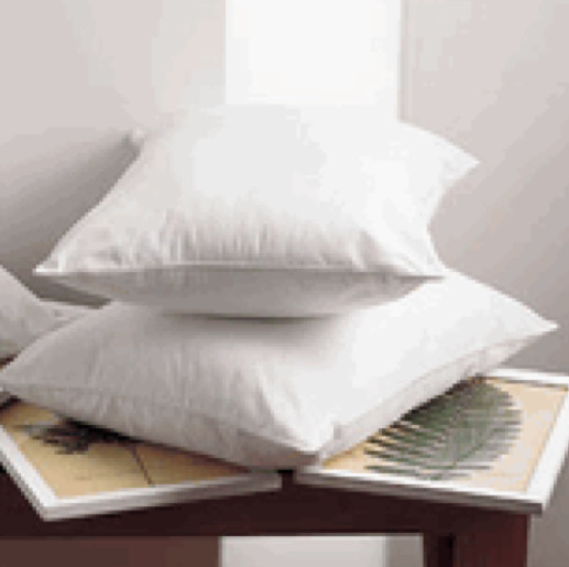 Bioshield EcoSmart Pillow Various Sizes - Customer Return Clearance
