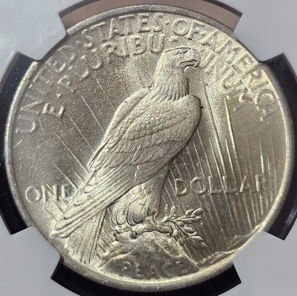 1924 Peace Dollar MS-66 NGC VIDEO