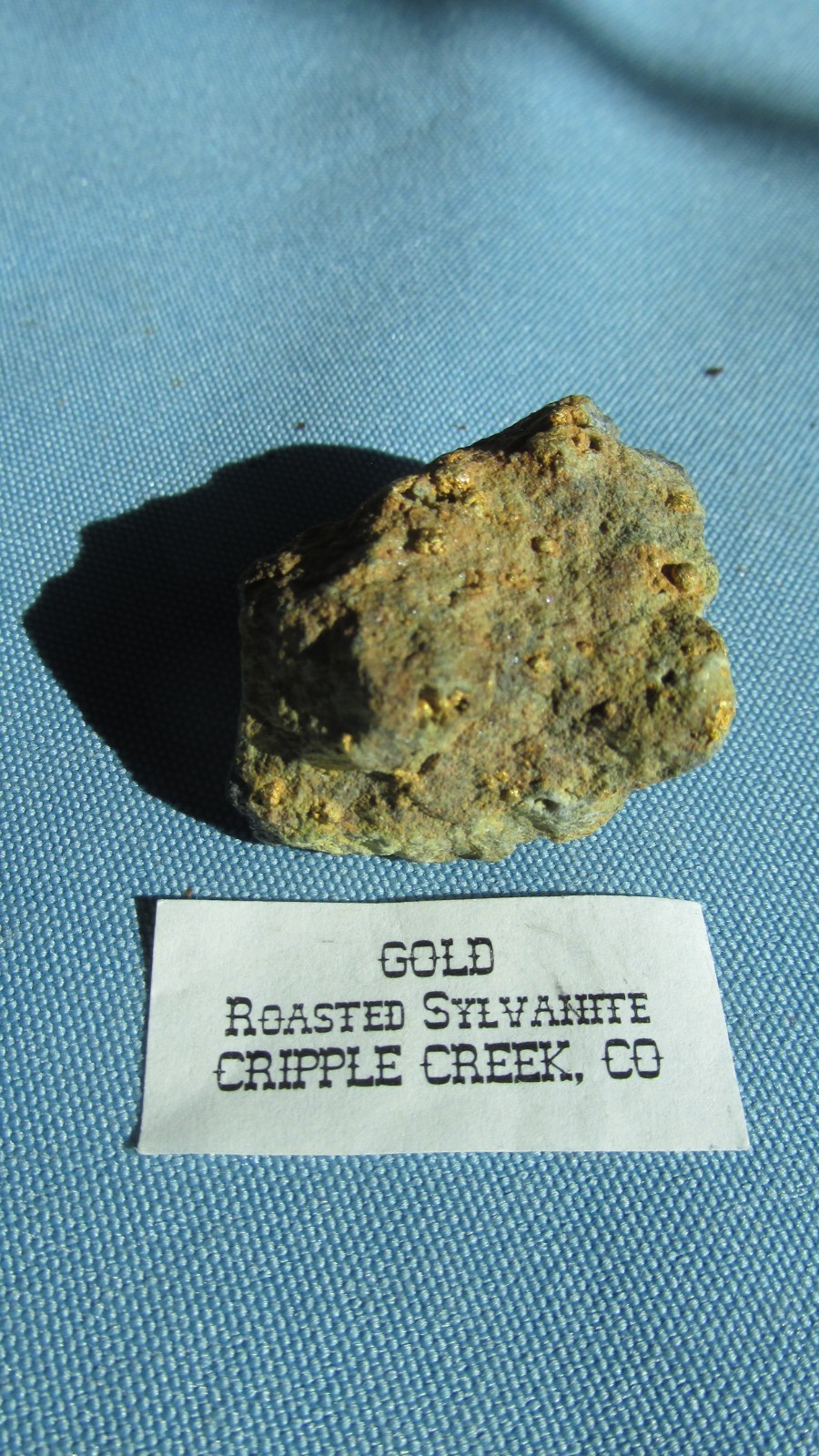 Cripple Creek Colorado Roasted Sylvanite Visible Free Gold Specimen-1.50 x 1.00