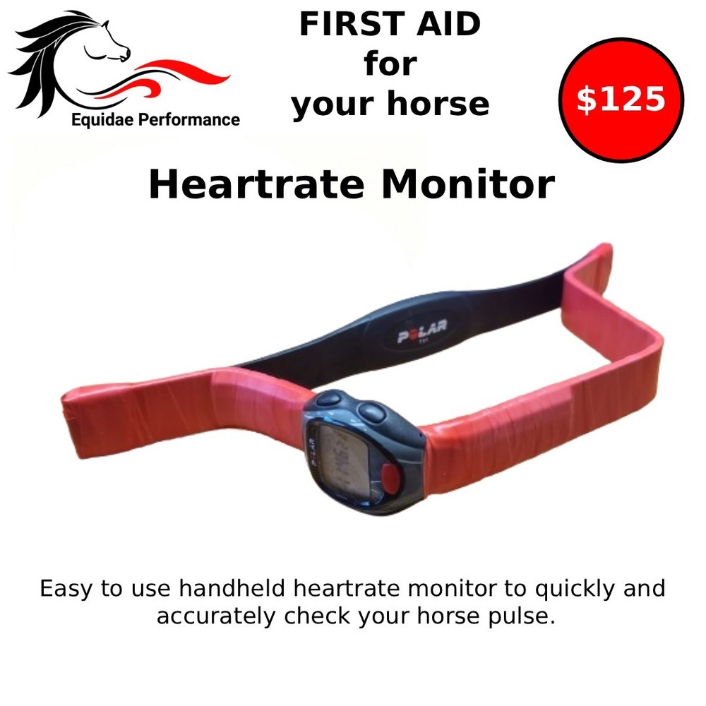 Horse First Aid Kit