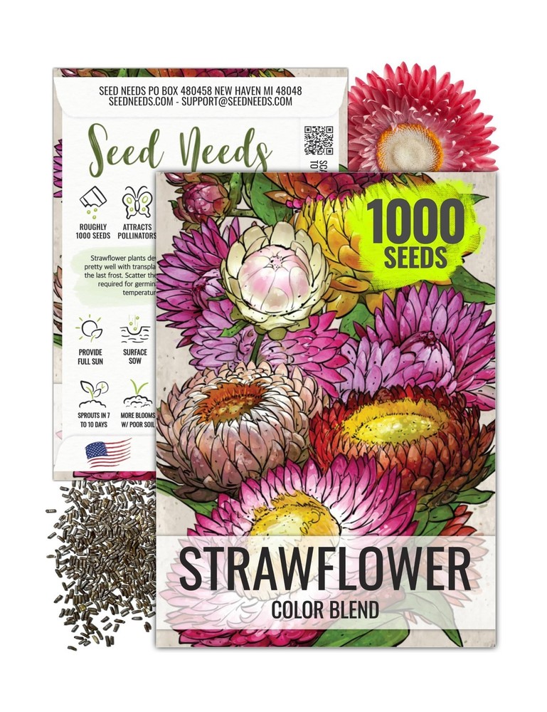 Seed Needs Strawflower Seeds for Planting - Heirloom & Open Pollinated Annual...
