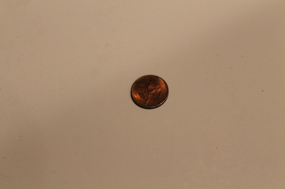 TURKISH 1 KURUS 1971 COIN