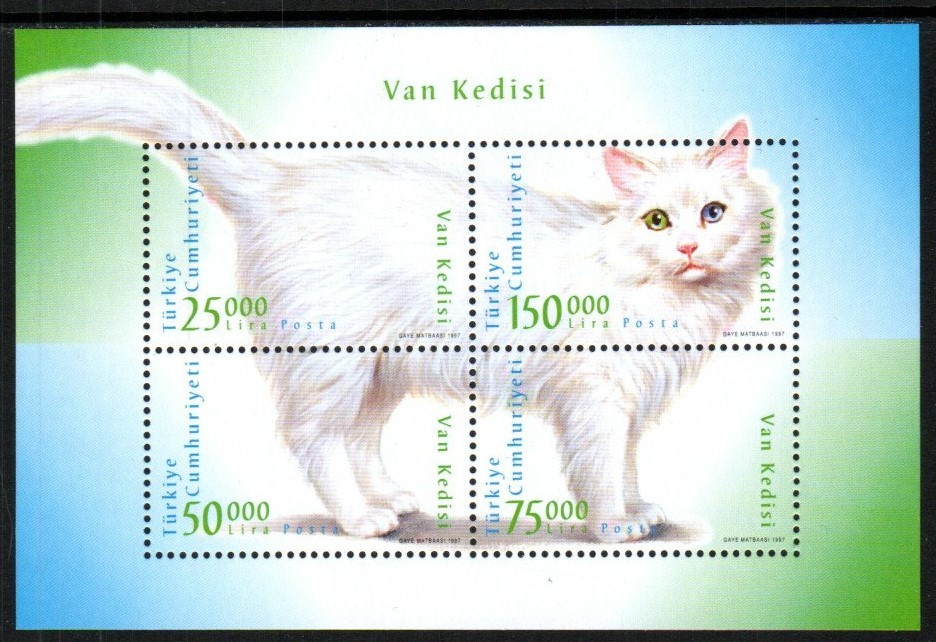 Turkey Stamp 2666  - White cat