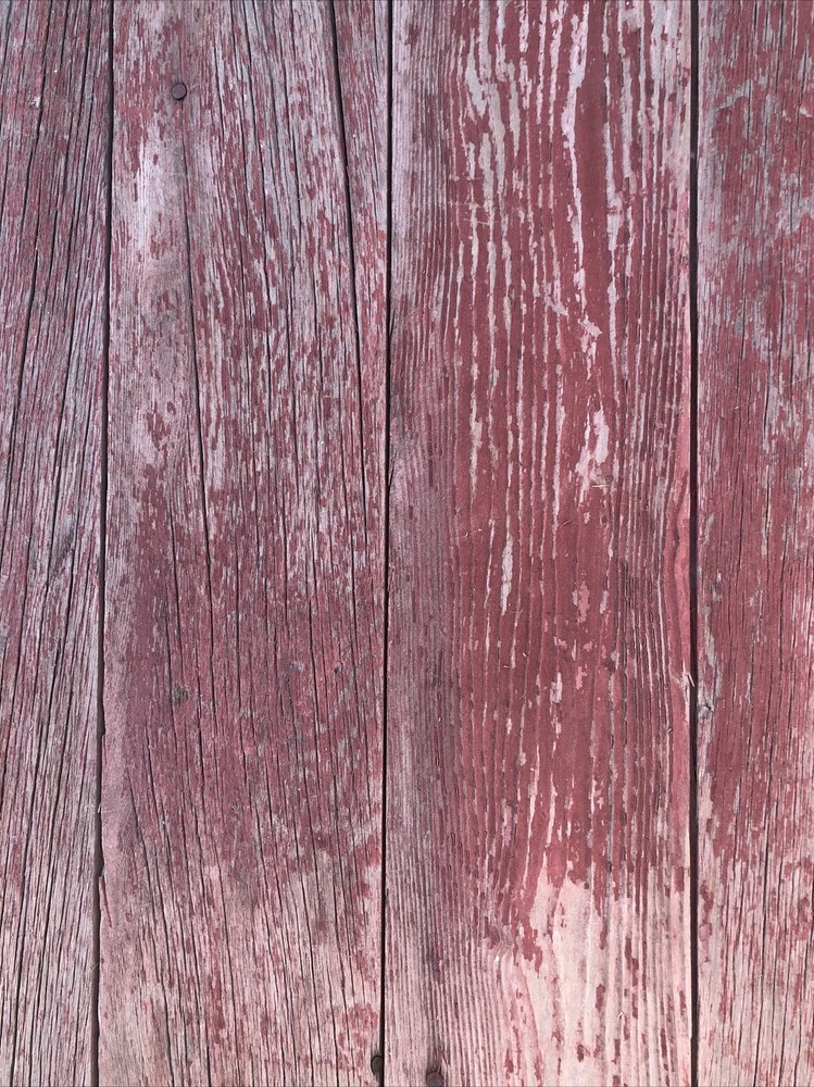 Antique Beautiful Barn Door