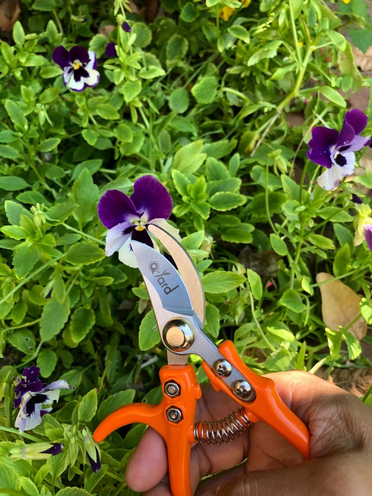 2 - pack Q-yard Pruning Shear, Mini-Trimmer Extra Sharp Garden Hand Pruners,