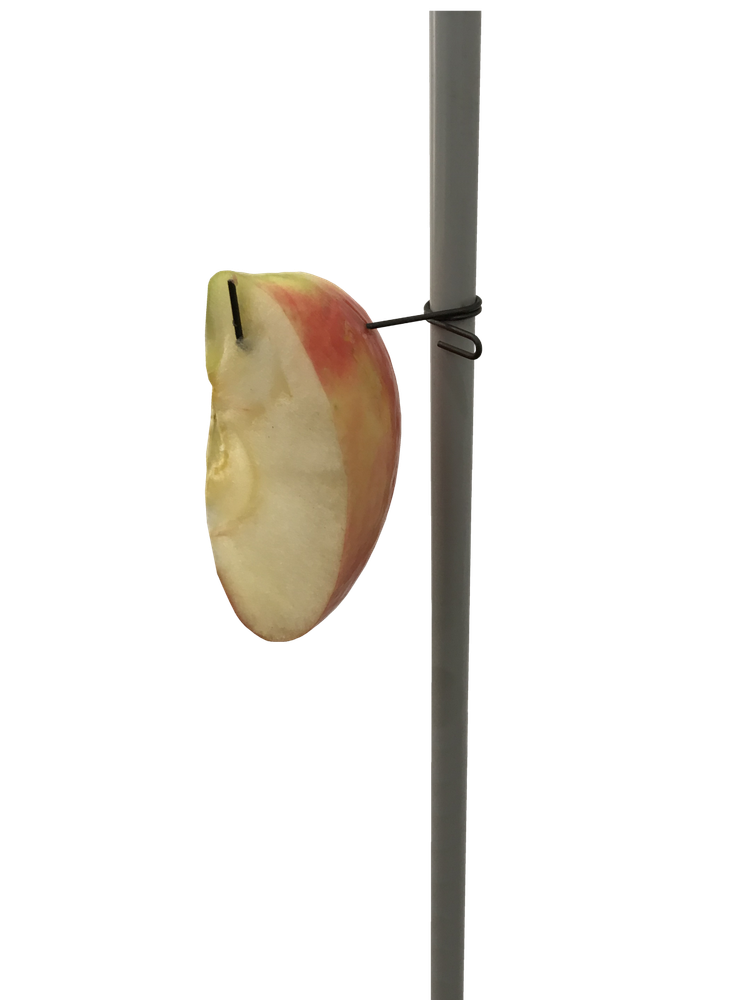 HAGz Bait Holder - Dozen Pack - New
