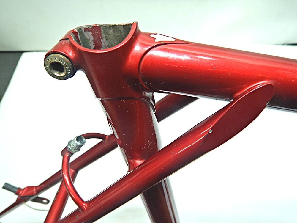 Nishiki Custom Touring Frame 540mm