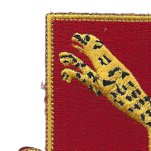 138th Armored Cavalry Regiment Patch