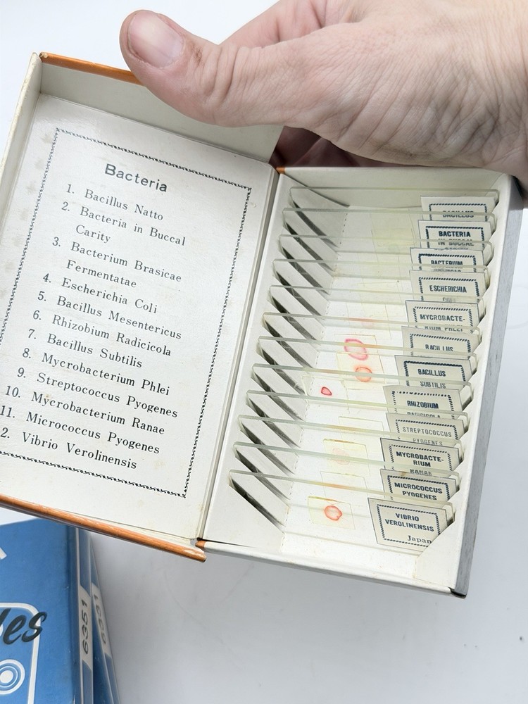 Vintage Gilbert Microscope w/ 3 Prepared Slide Sets Blood Bacteria Tiny Creature