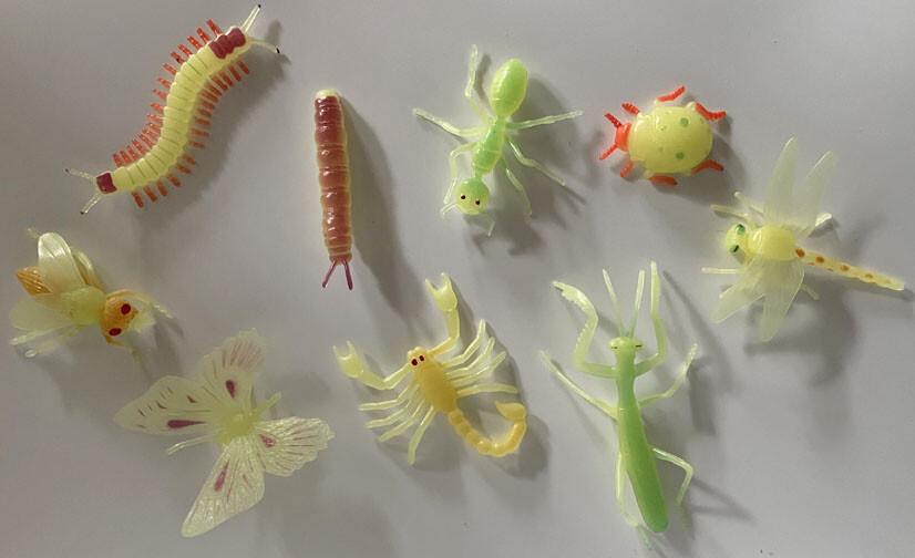 Insects - Glow in the Dark