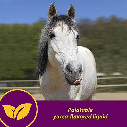 Horse Health Red Cell, Liquid Vitamin-Iron-Mineral Supplement for Horses,
