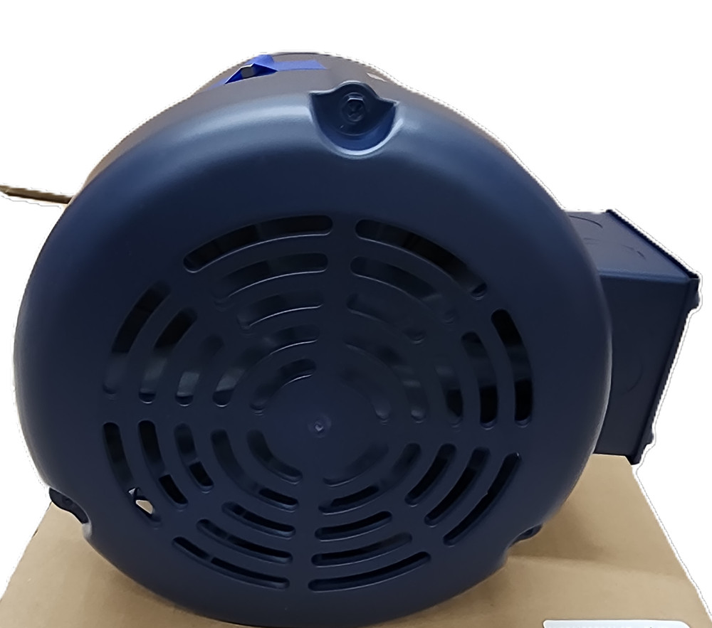 Leeson Electric Motor