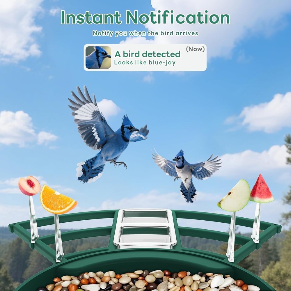 Smart Bird Feeder with 2K Live View Camera & AI Identify with Solar Panel,Night
