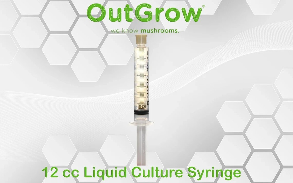 Morchella eximia Liquid Culture
