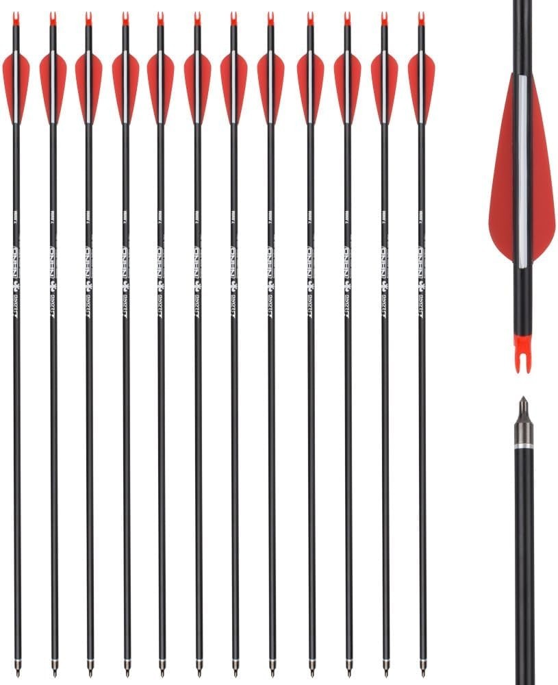 Carbon Arrow Set 12-Pack for Target Practice