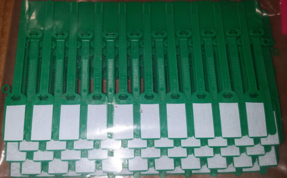 3" Write-On Green Security Tags 100 Pack Tamper Evident ID Labels