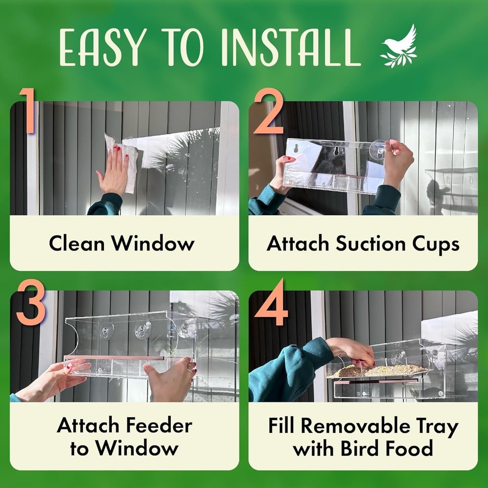 Window Bird Feeder with Strong Suction &