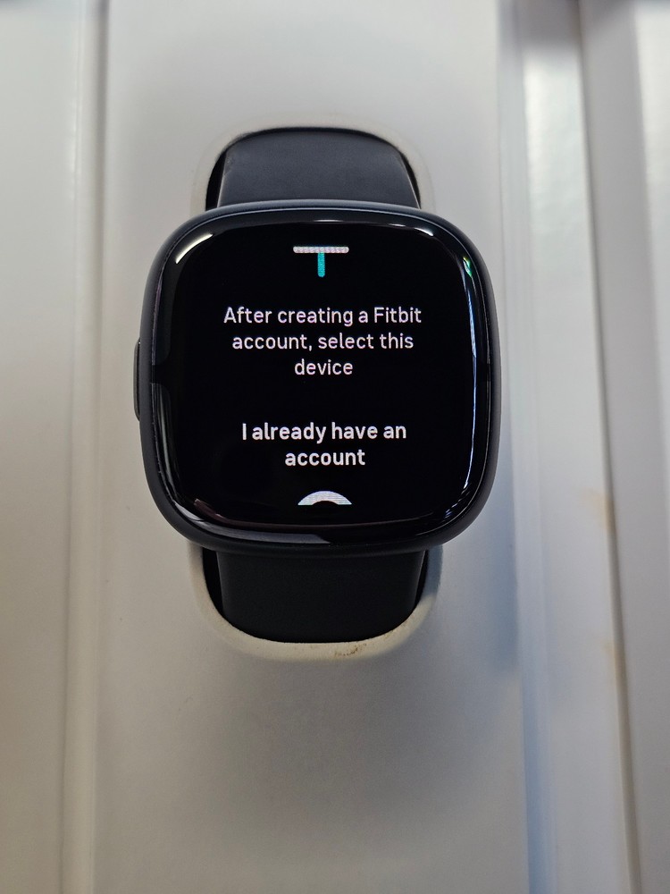 Fitbit Sense 2 Smartwatch Activity Tracker - Shadow Grey/Graphite Aluminum LARGE