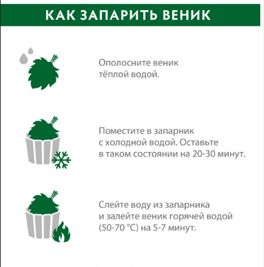 12 Oak brooms sauna banya venik Eiche whisks eco 2025 Ukrainian