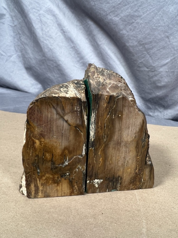 Petrified Wood Bookend Pair with felt padding
