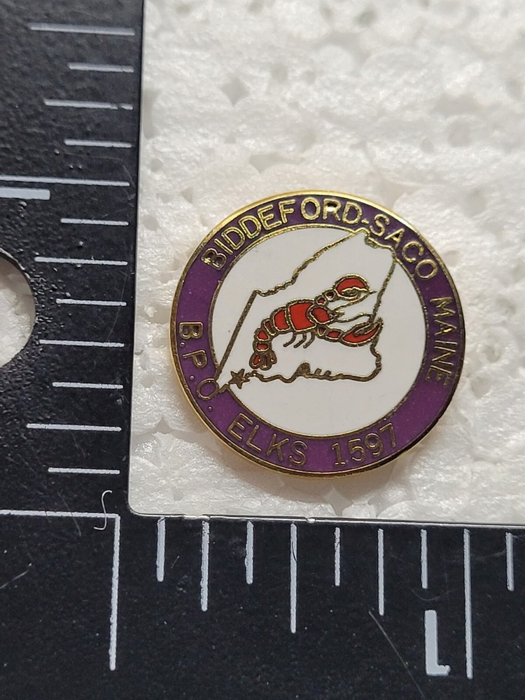 ELKS BIDDEFORD SACO MAINE HAT LAPEL PIN PIN BACK USED (M1346)