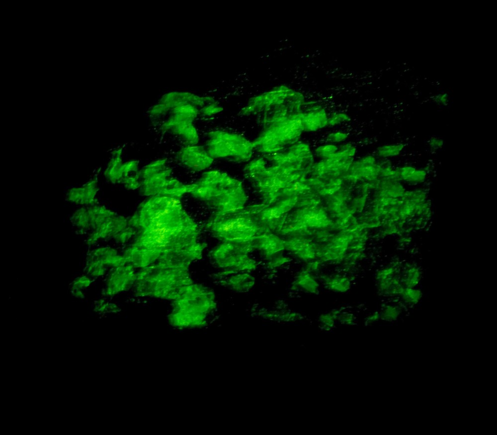 #3651 Fluorescent Mineral - Franklin New Jersey