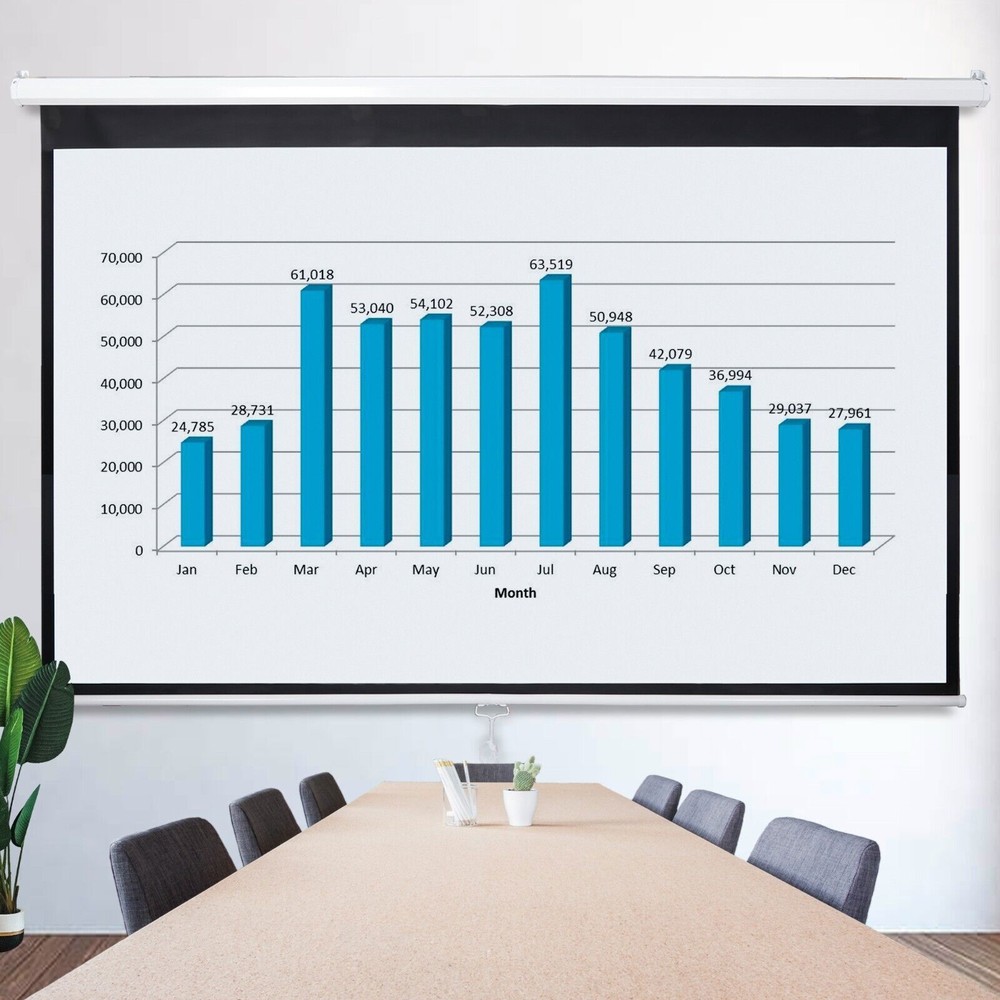 100" Diagonal 16:9 Projection Projector Screen HD Manual Pull Down Home Theater