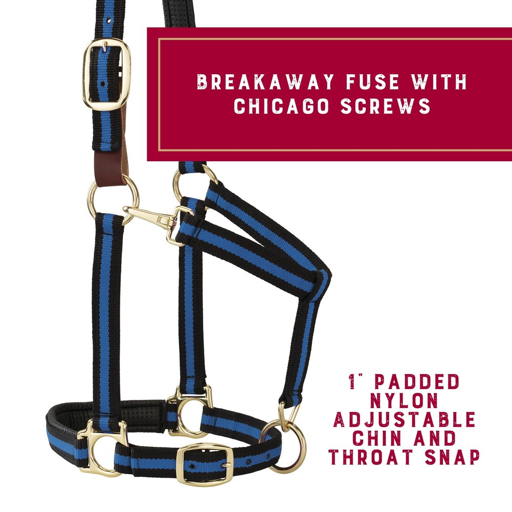 Comfort Polypropylene Breakaway Horse Halter Soft PVC Padding Yearling Draft