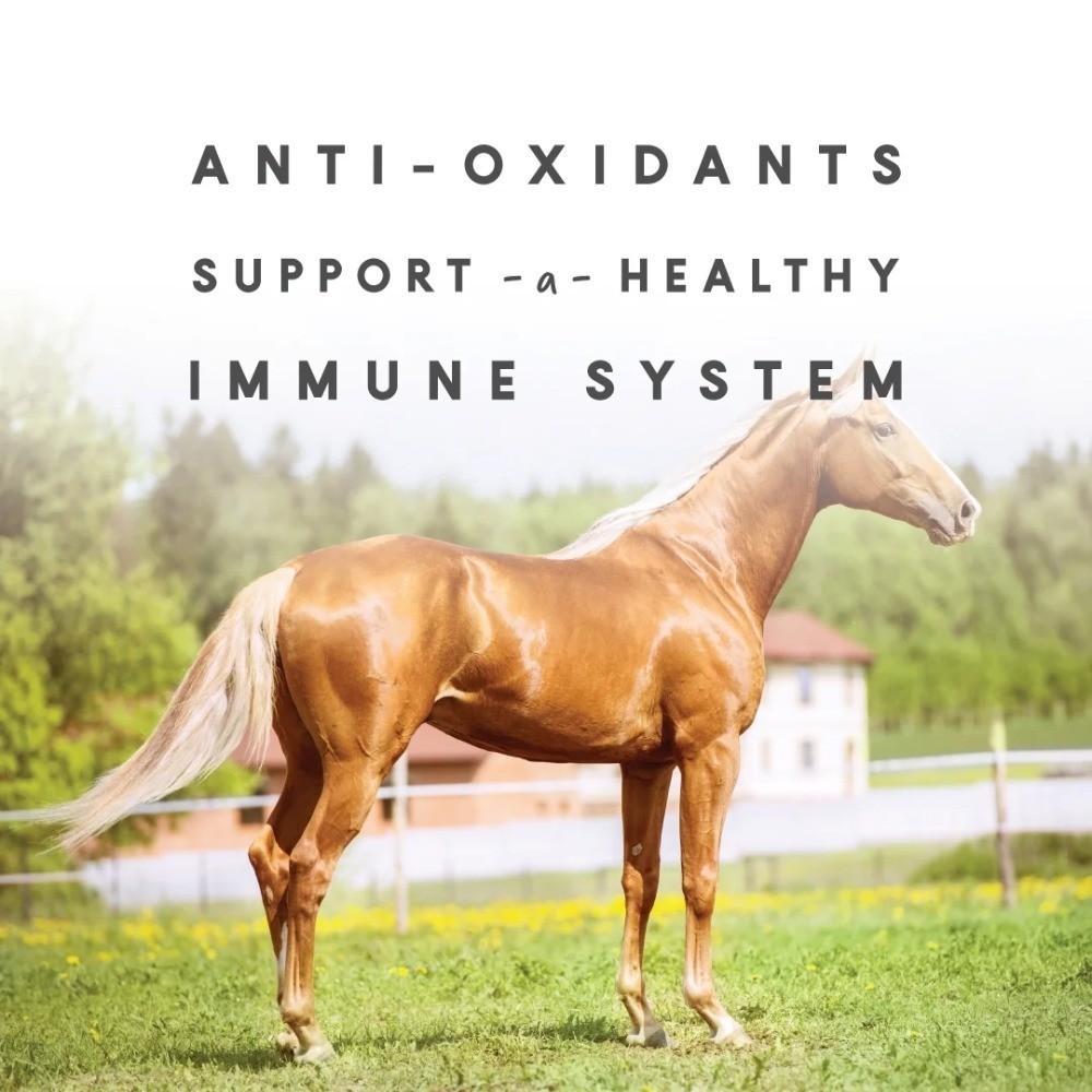 Complete Vitamin and Supplement for Horses, 5 lb