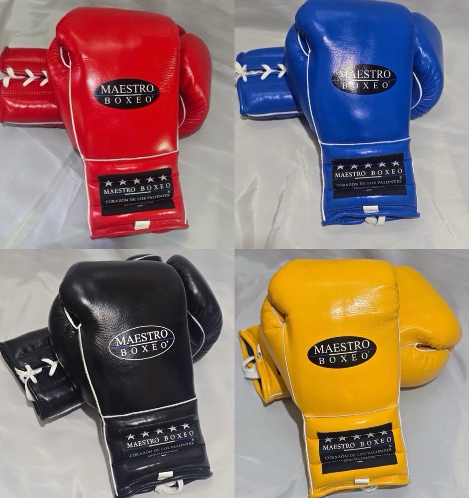 Maestro Boxeo