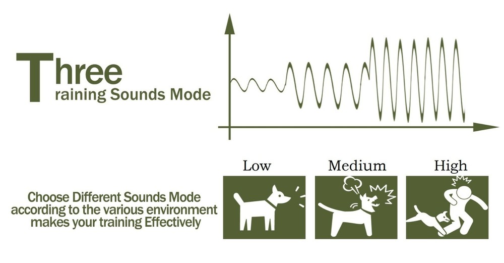 Remote Training Shock Collar Waterproof Trainer for Two Small Medium Large Dog