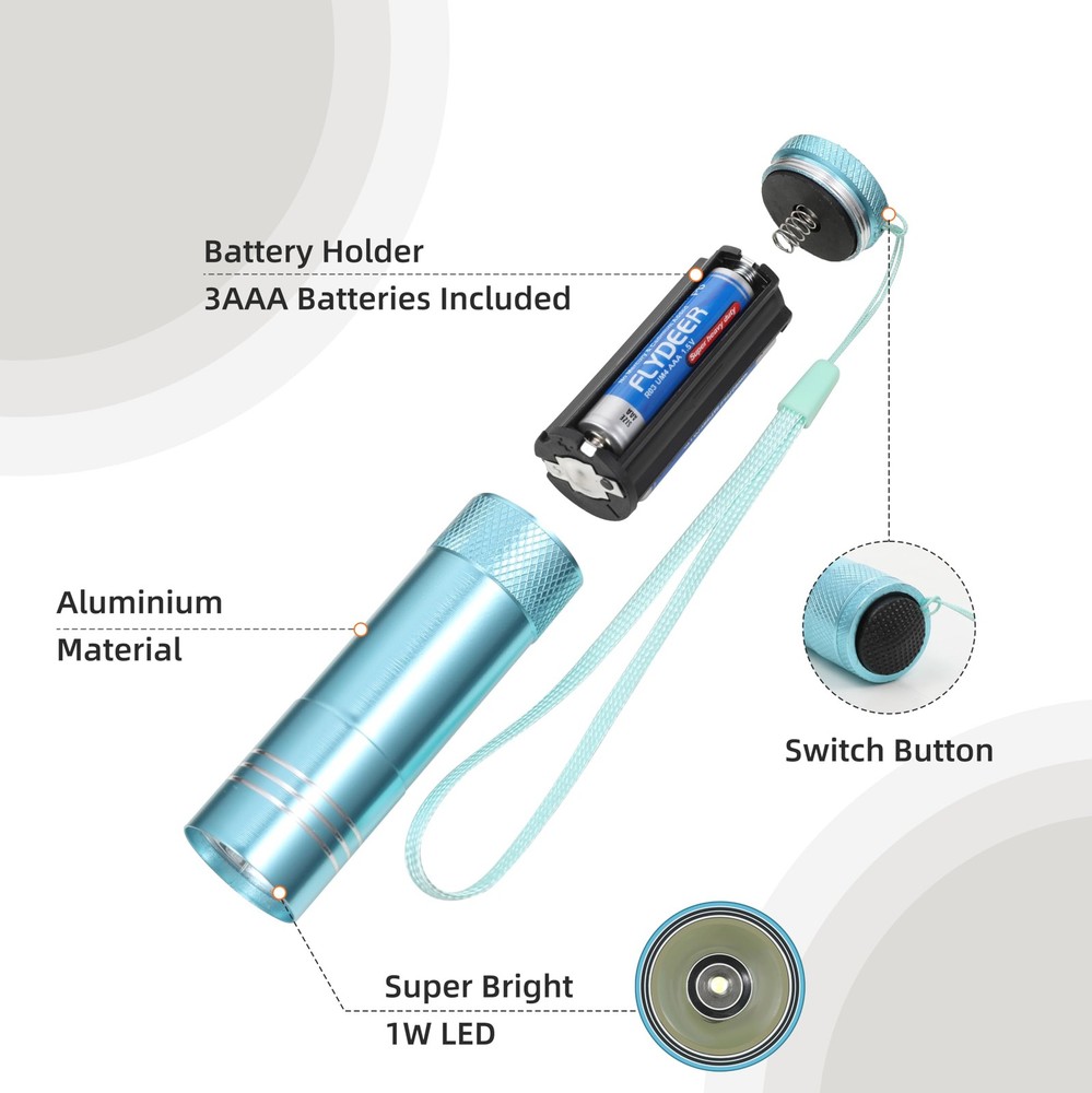 Emergency Bulk Flashlights - 60 Pack Mini LED with Batteries Lanyard