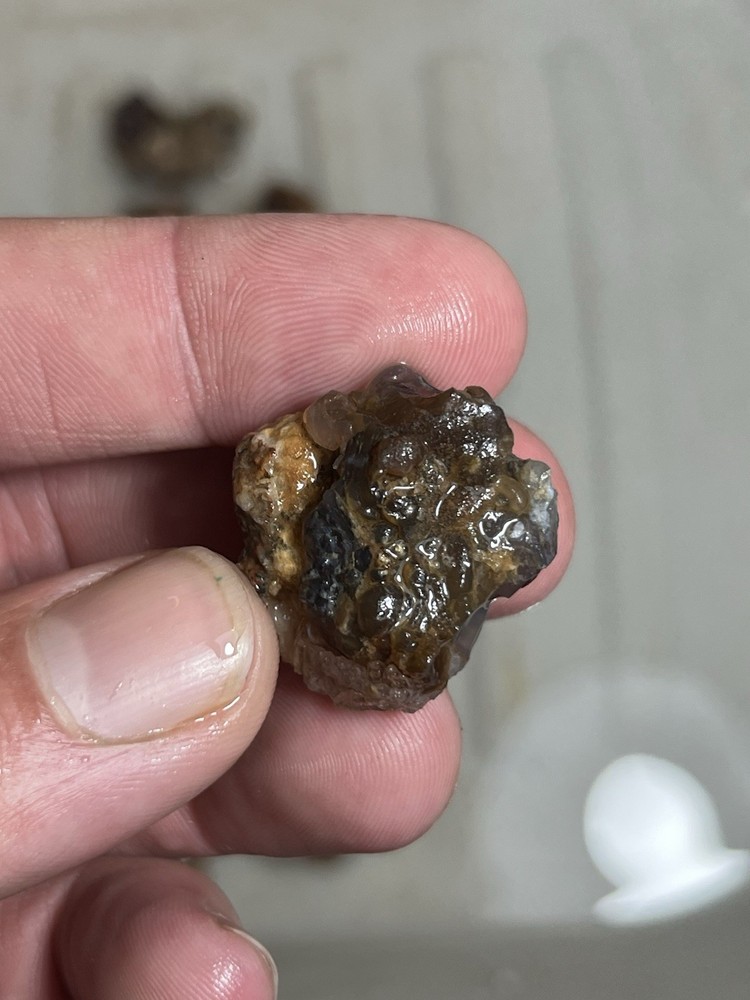 8oz Mexican Fire Agate Rough Lot Mid Grade Every Stone Should Have Fire Half LB