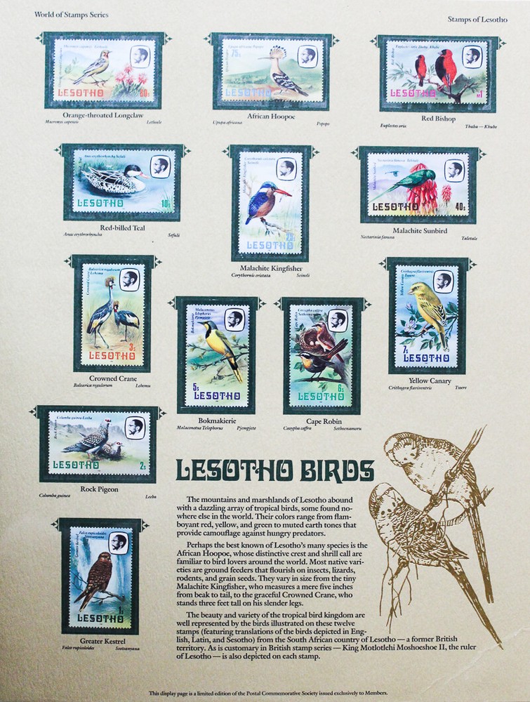 World Stamp Collection ALL Mint NH in Giant Book