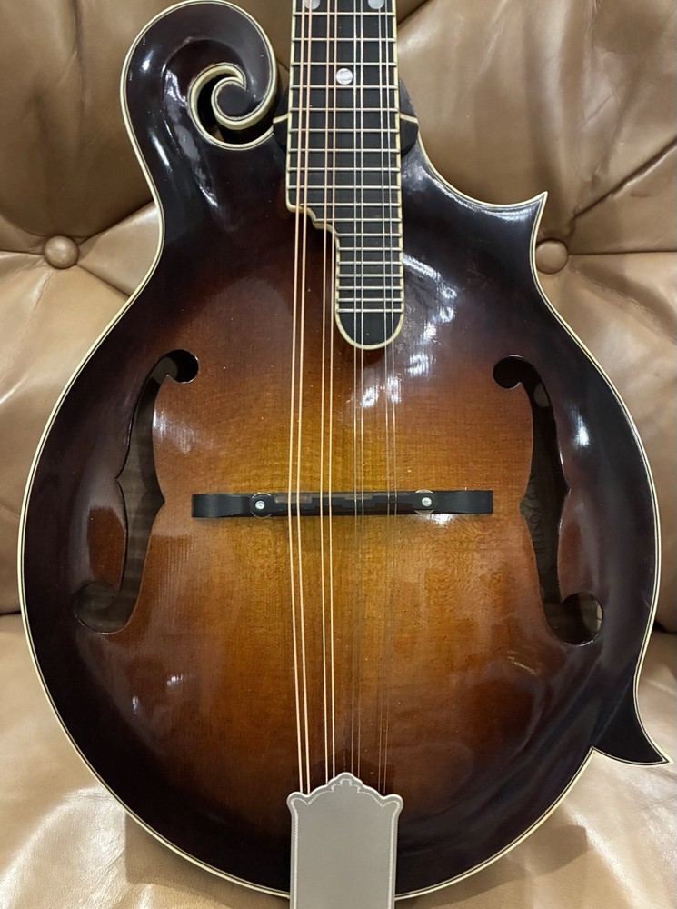 Doozy F Style Mandolin