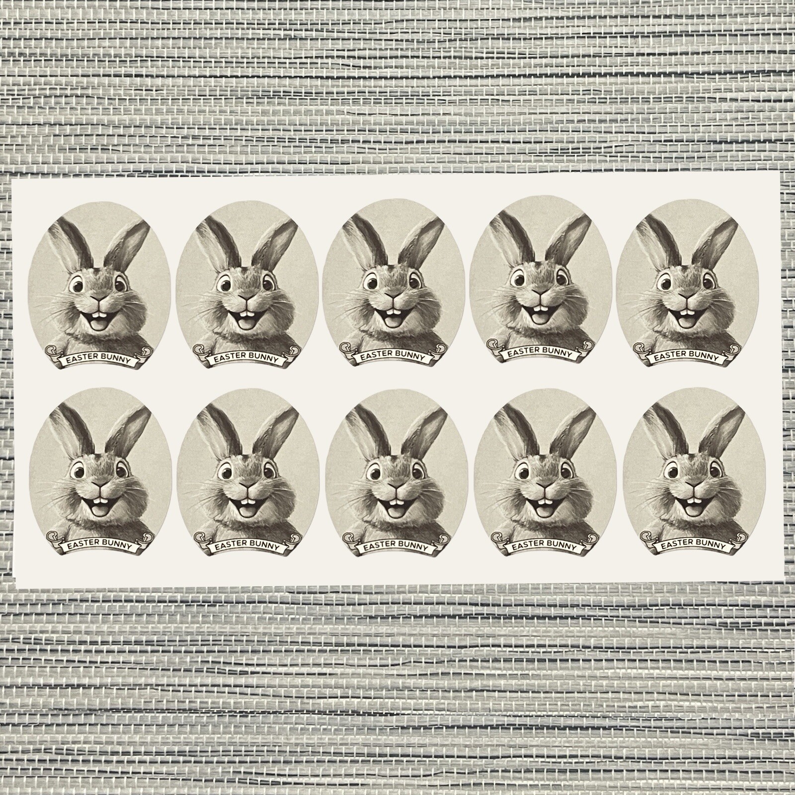 Lot of 10 Bunny Money US Dollar Bill Stickers $1 and $2 Easter Bunny Money Gift