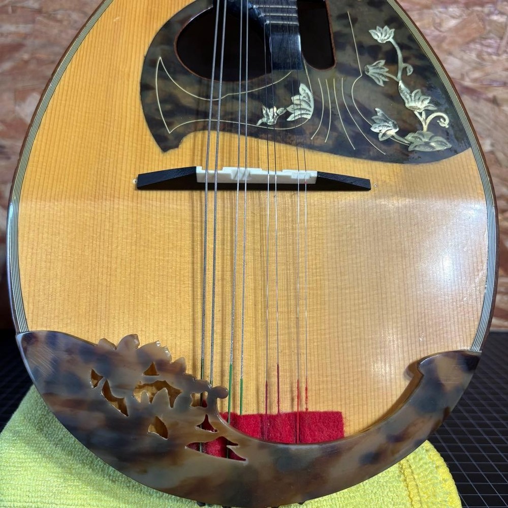 Rafael Carache TYPE.15 Round Mandolin