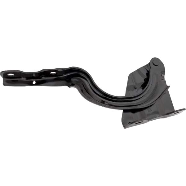 Hood Hinge RH for 19-22 FORTE