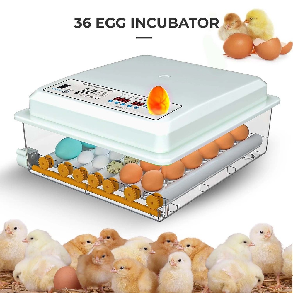 36 Egg Incubator w/Automatic Egg Turning & Temperature Humidity Control UK