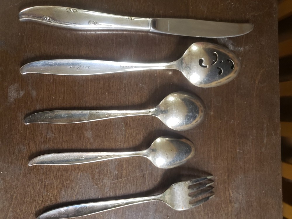 Oneida Community SILVER FLOWERS Silverplate 23 Assorted Pieces